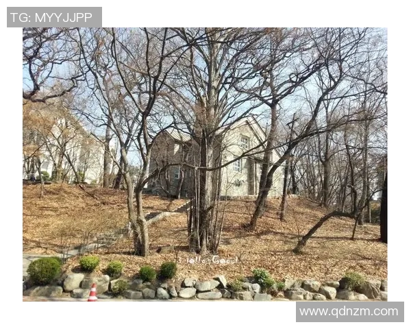 足球明星罗彬的传奇人生与辉煌成就全景介绍